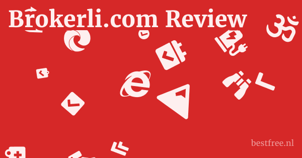 Brokerli.com Review 1 by BestFREE.nl