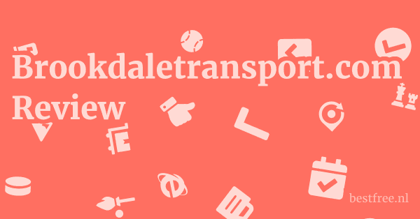 Brookdaletransport.com Review 1 by BestFREE.nl