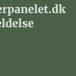 Brugerpanelet.dk Anmeldelse 11 by BestFREE.nl