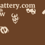 Bsl-battery.com Review 7 by BestFREE.nl