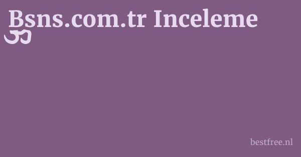 Bsns.com.tr Inceleme