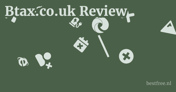 Btax.co.uk Review 1 by BestFREE.nl