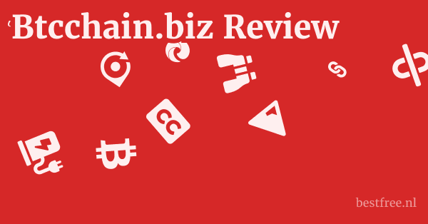 Btcchain.biz Review 1 by BestFREE.nl