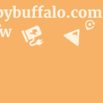 Builtbybuffalo.com Review 11 by BestFREE.nl