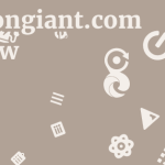 Bulliongiant.com Review 7 by BestFREE.nl
