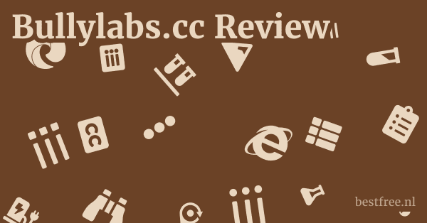 Bullylabs.cc Review 1 by BestFREE.nl