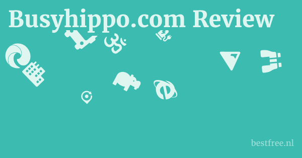 Busyhippo.com Review 1 by BestFREE.nl