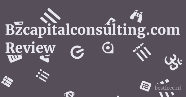 Bzcapitalconsulting.com Review 1 by BestFREE.nl