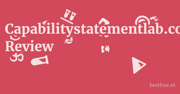 Capabilitystatementlab.com Review 1 by BestFREE.nl