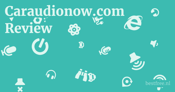 Caraudionow.com Review 1 by BestFREE.nl