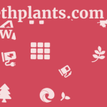 Carbethplants.com Review 7 by BestFREE.nl