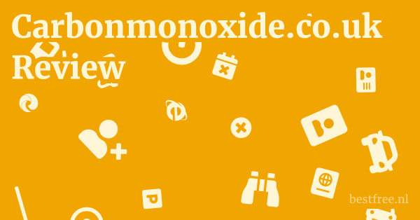 Carbonmonoxide.co.uk Review 1 by BestFREE.nl
