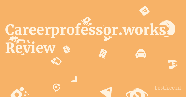 Careerprofessor.works Review 1 by BestFREE.nl