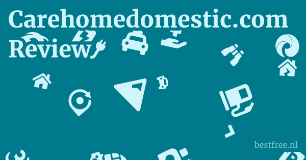 Carehomedomestic.com Review 1 by BestFREE.nl