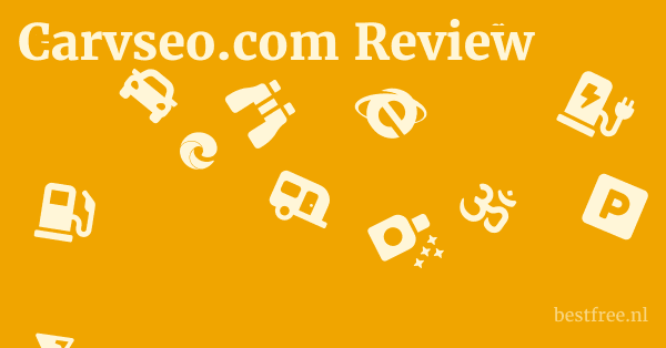 Carvseo.com Review 1 by BestFREE.nl