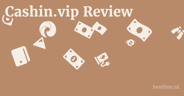 Cashin.vip Review 1 by BestFREE.nl