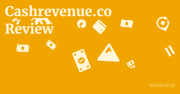 Cashrevenue.co Review 1 by BestFREE.nl