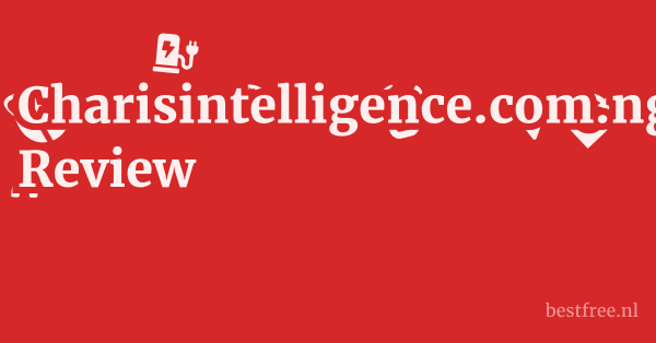 Charisintelligence.com.ng Review 1 by BestFREE.nl