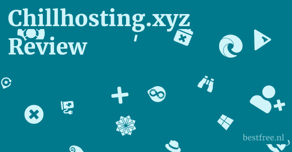 Chillhosting.xyz Review 1 by BestFREE.nl