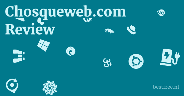 Chosqueweb.com Review 1 by BestFREE.nl