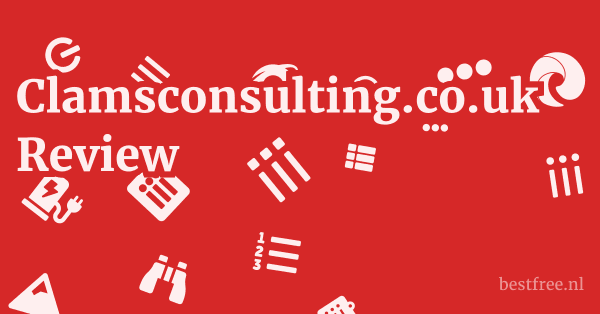 Clamsconsulting.co.uk Review 1 by BestFREE.nl