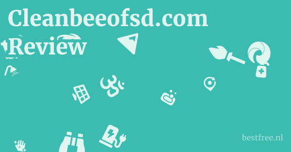 Cleanbeeofsd.com Review 1 by BestFREE.nl