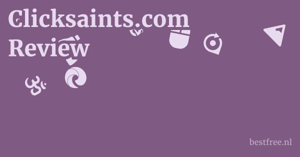 Clicksaints.com Review 1 by BestFREE.nl