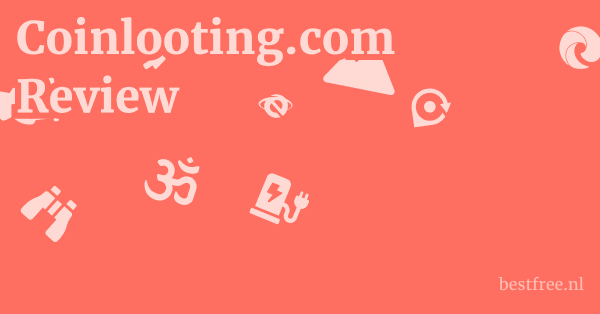 Coinlooting.com Review 1 by BestFREE.nl