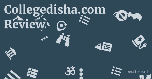 Collegedisha.com Review 1 by BestFREE.nl