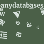 Companydatabases.net Review 15 by BestFREE.nl
