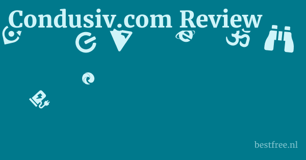 Condusiv.com Review 1 by BestFREE.nl