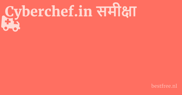 Cyberchef.in समीक्षा 1 by BestFREE.nl
