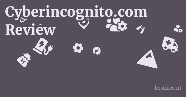 Cyberincognito.com Review 1 by BestFREE.nl