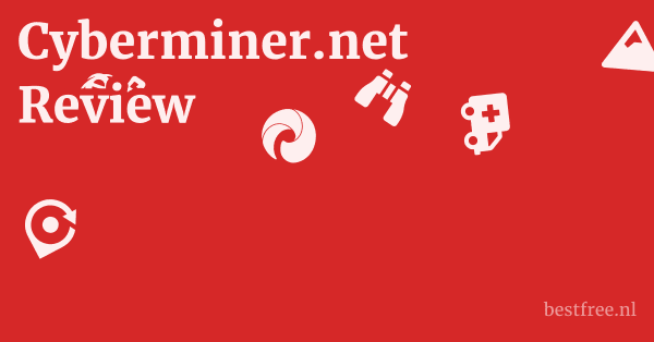 Cyberminer.net Review 1 by BestFREE.nl