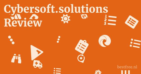 Cybersoft.solutions Review 1 by BestFREE.nl