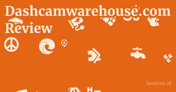 Dashcamwarehouse.com Review 1 by BestFREE.nl