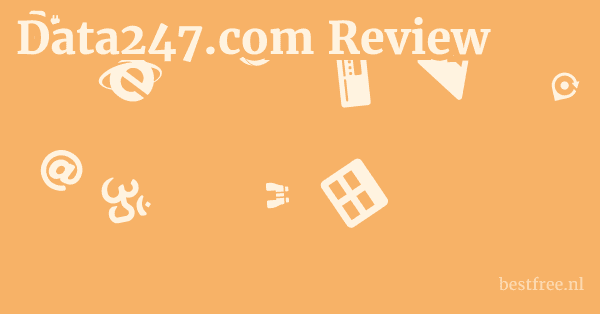 Data247.com Review 1 by BestFREE.nl