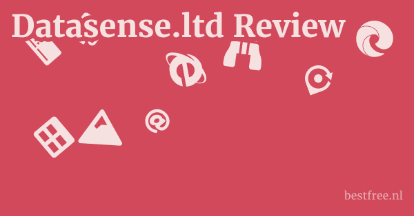 Datasense.ltd Review 1 by BestFREE.nl
