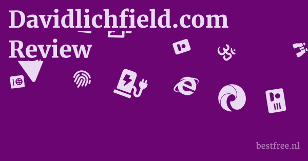 Davidlichfield.com Review 1 by BestFREE.nl