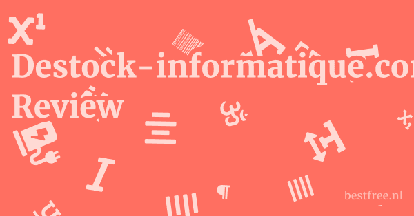 Destock-informatique.com Review 1 by BestFREE.nl