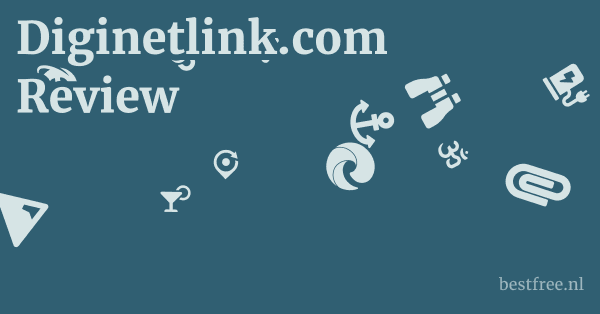 Diginetlink.com Review 1 by BestFREE.nl