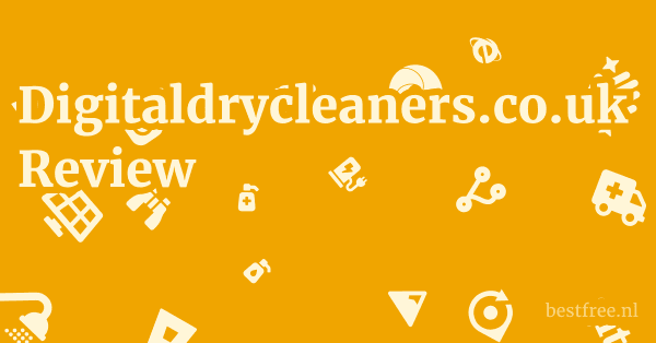 Digitaldrycleaners.co.uk Review 1 by BestFREE.nl