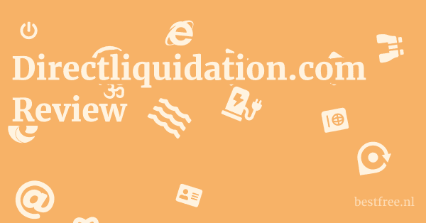 Directliquidation.com Review 1 by BestFREE.nl