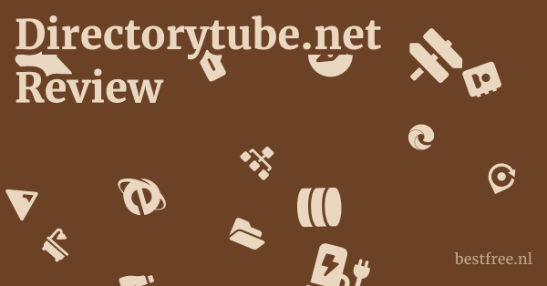 Directorytube.net Review 1 by BestFREE.nl