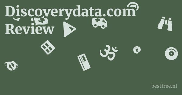 Discoverydata.com Review 1 by BestFREE.nl