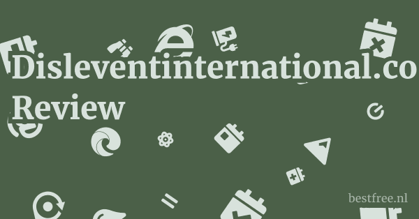 Disleventinternational.com Review 1 by BestFREE.nl
