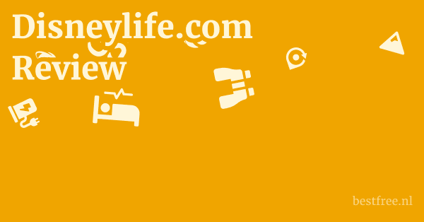 Disneylife.com Review 1 by BestFREE.nl
