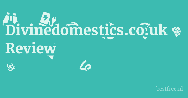 Divinedomestics.co.uk Review 1 by BestFREE.nl