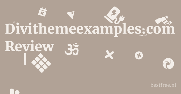 Divithemeexamples.com Review 1 by BestFREE.nl
