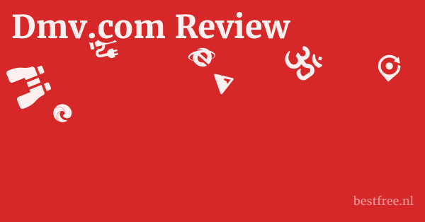 Dmv.com Review 1 by BestFREE.nl